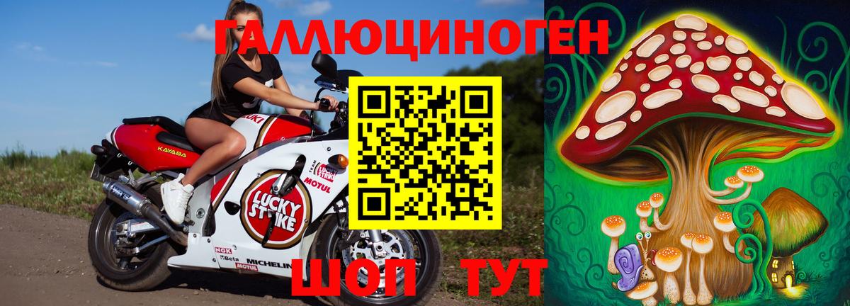 Псилоцибиновые грибы GOLDEN TEACHER  Псилоцибиновые грибы GOLDEN TEACHER  Электросталь  Вход с VPN 