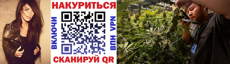 hydra где купить наркоту Электросталь Бошки Шишки планчик